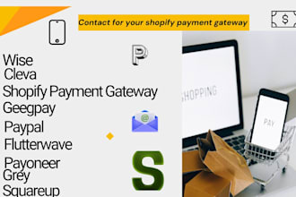 open llc based business wise account, payoneer bank accounts, paypal, revolut