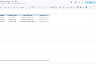 do expert ms excel data entry copy paste and web research