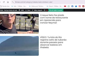 translate english to brazilian portuguese