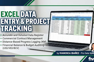 do professional excel data entry and project tracking