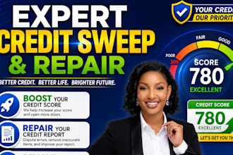 provide credit repair, dispute letters and credit sweep support