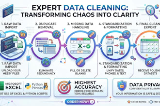 clean, format and organize your messy exel data