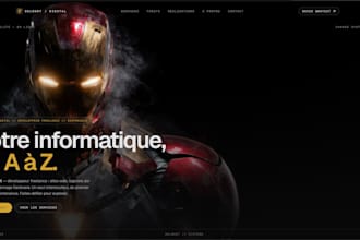 do custom web development and desktop software programming