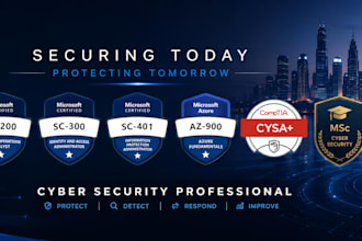 perform professional cybersecurity vapt, penetration testing and security