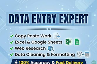 do professional data entry and copy paste work