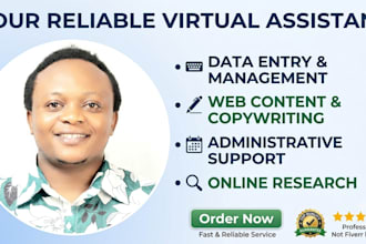 be your virtual assistant for data entry and web copywriter