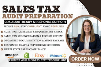 prepare sales tax audit, tax compliance reconciliation CPA support tax review