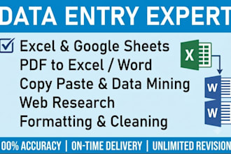 do professional data entry, copy paste and excel data entry