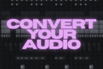 convert your audio file to any format wav mp3 flac