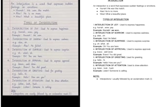 manually type PDF to word and convert image to text in 24h