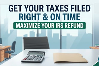 do professional US tax preparation and file for maximum refund