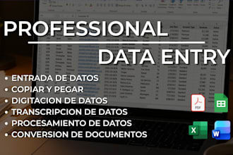 entrada de datos, transcripción, digitación, copiar y pegar en español