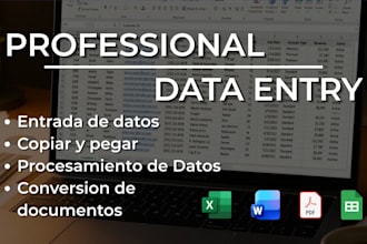 realizaré entrada, organización y gestión de datos en español