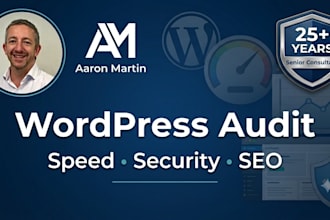 provide an expert wordpress audit and roadmap