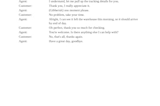 translate and transcribe mandarin to english