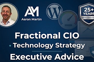 be your fractional cio and senior IT strategist