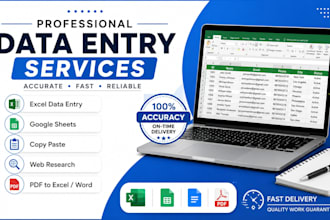 do fast and accurate data entry, copy paste and web research