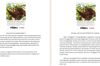 translate english documents to indonesian