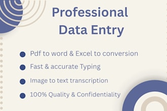 be your professional data entry,  image to text and copy typist