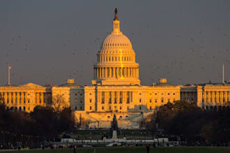 do urgent law,essay, case briefs, case analysis, business law and politics