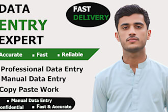 do excel data entry, copy  paste, pdf to excel, word to excel