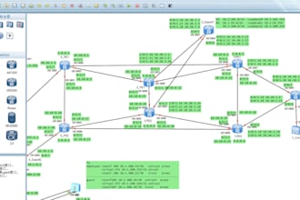 build ensp and cisco packet tracer network labs hcie datacom certified engineer