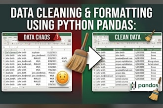 clean, format and process data using python pandas