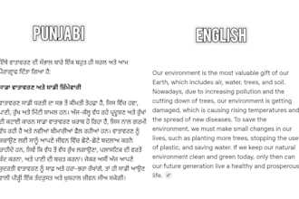 translate punjabi into english and english into punjabi