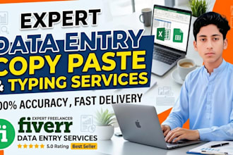 do accurate data entry and copy paste work