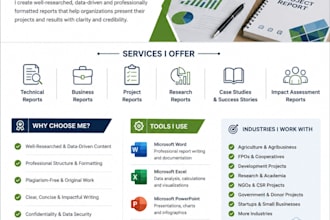 write professional technical reports and project documentation