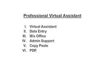 provide virtual assistant services data entry office admin