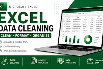 clean, format and organize your microsoft excel data
