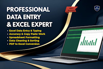do excel data cleaning, formatting, and ecommerce data entry