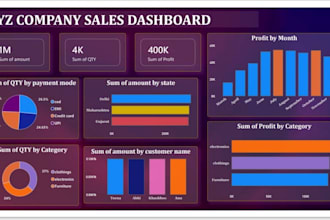 create a professional power bi dashboard with interactive reports