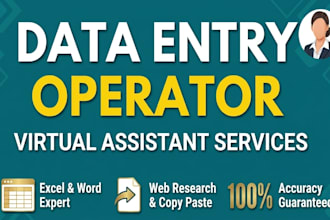 provide my services as remote data entry operator