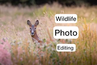 professionally edit your wildlife and nature photography
