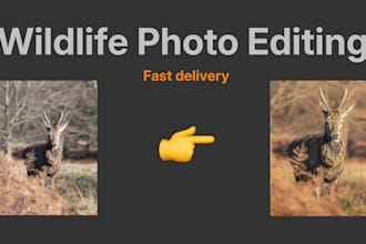 professionally edit your wildlife and nature photography