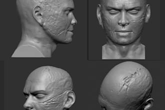 custom 3d head 3d bust 3d sculpture figurine potrait 3d head figure 3d face stl