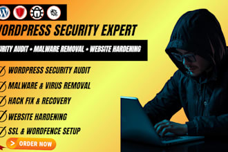 perform wordpress security audit, malware removal and website hardening for you
