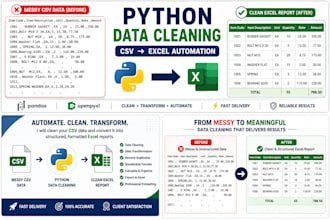 do python data cleaning and CSV excel automation