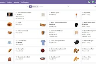 create professional odoo erp and pos for you business