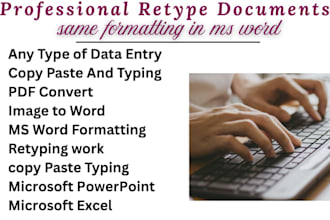 do professional typing services, retype, data entry excel