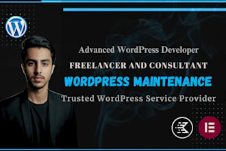 your wordpress freelancer and consultant for wordpress maintenance service