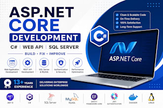 develop or fix asp net core web API and web application