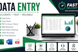 do accurate data entry excel data cleaning and copypaste