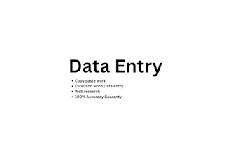 do professional data entry
