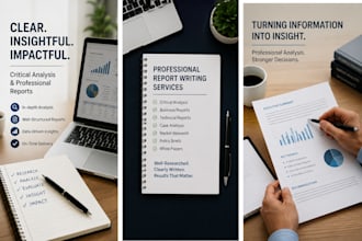 write a professional critical analysis essay and critique