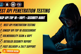 perform rest API penetration testing using owasp API security top 10 for you