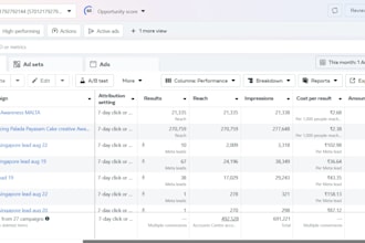 manage meta ads, google ads and digital marketing campaigns