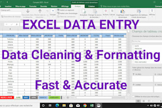 do professional data entry and excel data cleaning